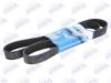 BTA B08-8PK1528 V-Ribbed Belts